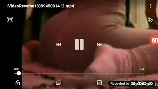 Booty Flex Close Up 2 In Reverse