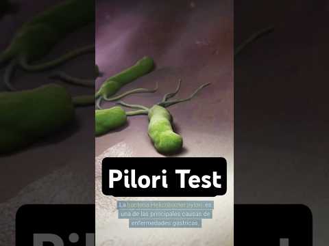 bacteria Helicobacter test