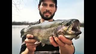 2014 Illinois Fishing Season Review Winter Fishing Bass Musky Carp Walleye Catfish Crappie