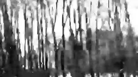 Modular 4 / Mark and Matt Thibideau / Obsolete Components