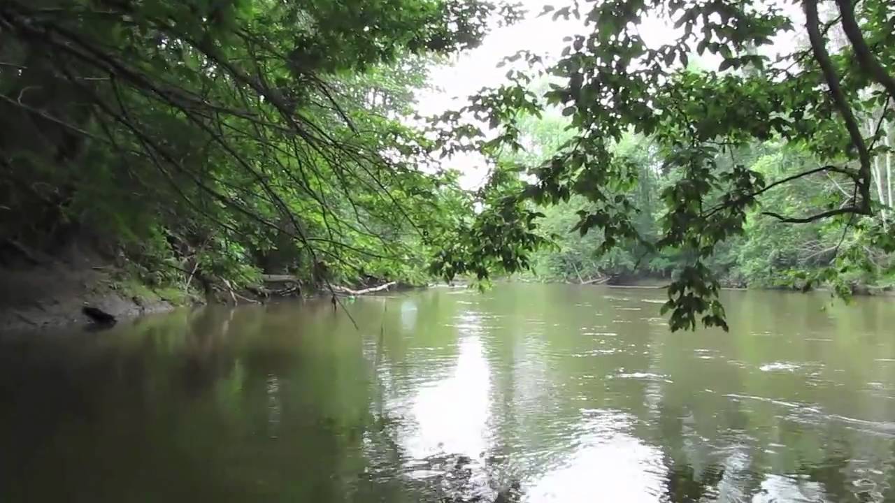 Canoeing the Rifle River YouTube