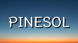 Watch Nav Pinesol video