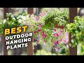 Best Outdoor Hanging Plants For Summer - Give a Vibrant Look