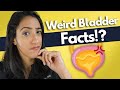 Weird facts you never knew about your bladder |  November Bladder Health Month