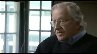 Noam Chomsky on Stupid People