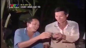 Ký ức chuột đồng miền Tây