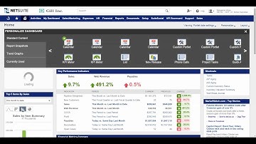 NetSuite Dashboard Overview