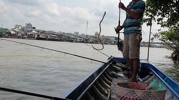 Dính con cá lạ vợ mình sợ xanh mặt luôn.  Điểm câu quá đẹp cá ăn liên tục | Săn bắt SÓC TRĂNG |