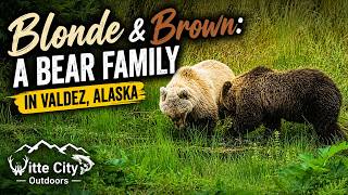 Blonde & Brown: A Bear Family in Valdez, Alaska