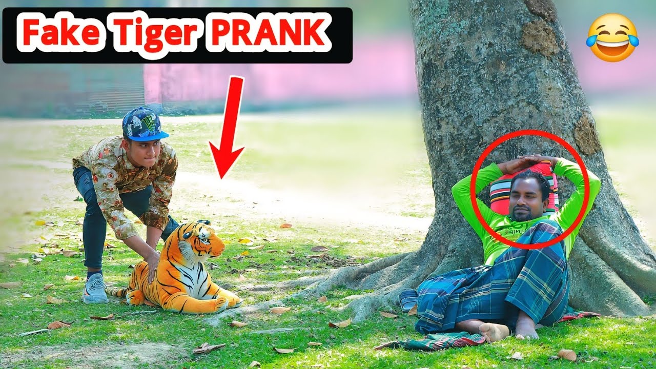 Update Viral Fake Tiger Prank Video 😂! Funny Prank Videos in 2025 | Prank video by ComicaL TV