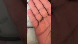 Wahl Gold magic clip (REAL) vs (FAKE)