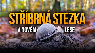 Krása střídá nádheru když nacházím stříbro v novém lese s detektorem