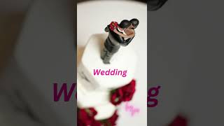 Wedding shorts wedding bride ceremony groom love music audiojungle