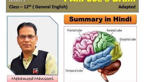 Hindi Summary.     Lesson 9 ( I AM JOE