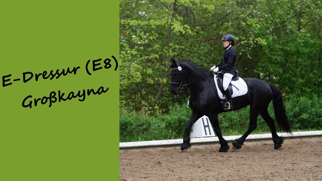 E-Dressur (E8) in Großkayna