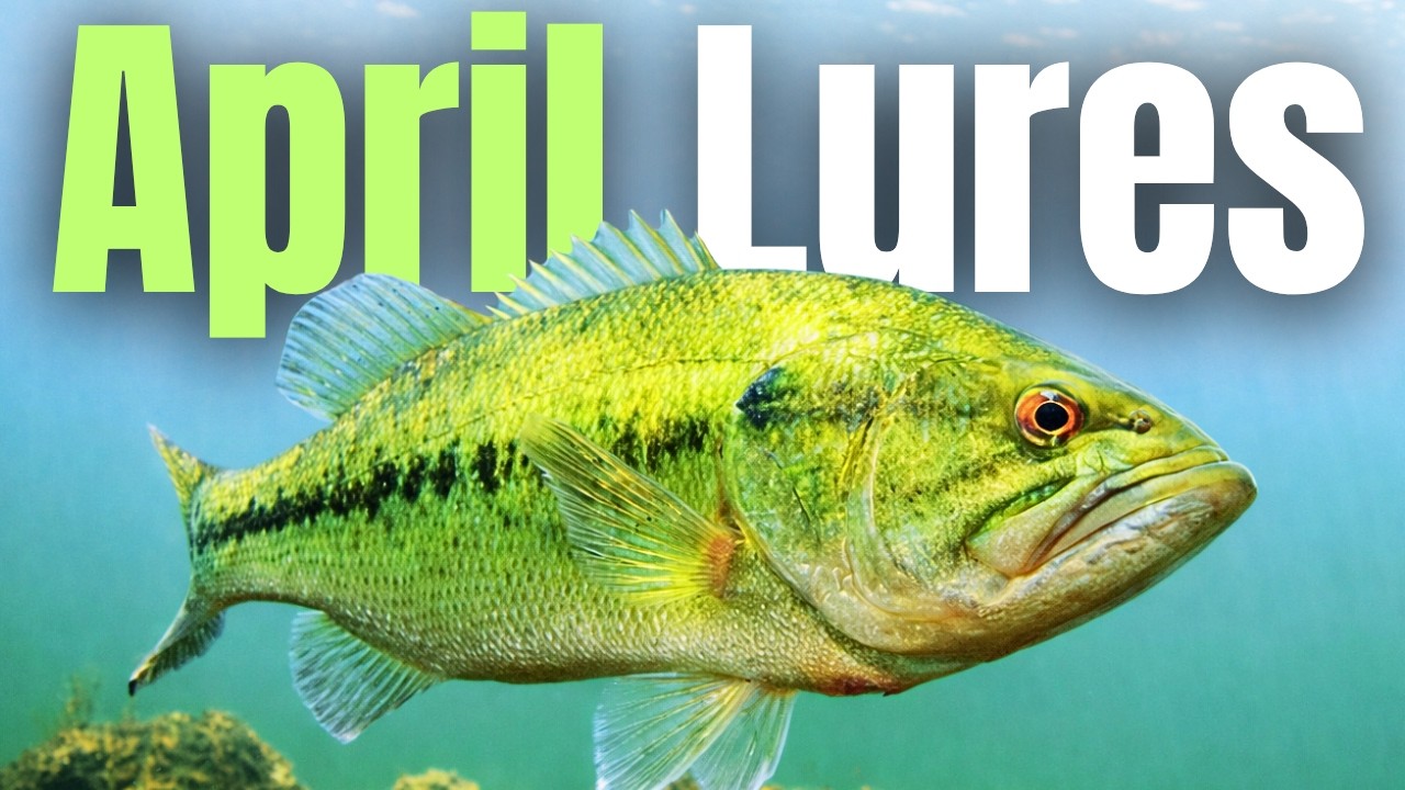 These APRIL LURES Catch Bass EVERY TIME