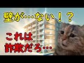 【猫ミーム】レオパレス21の闇…界壁なしの違法建築とは？入居者も知らない衝撃の真実！
