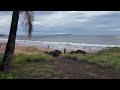 Around Kihei Maui Before The Kona Low March 2026 Around Kihei Maui Before The Kona Low March 2026