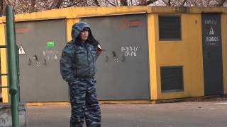 Как тренируют полицейских собак в Останкино Как тренируют полицейских собак в Останкино