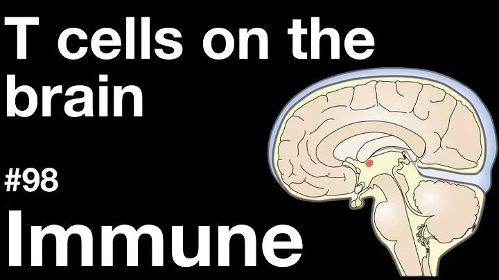 Immune 98: T cells on the brain
