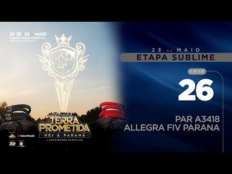 LOTE 26   PAR A 3418   1920x1080