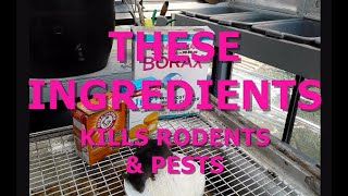 THESE INGREDIENTS KILLS RODENTS & PESTS