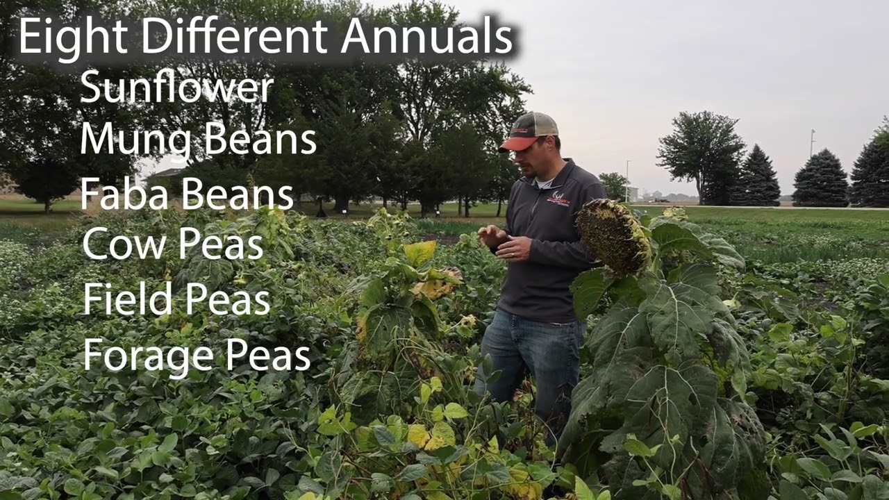 Ani-Logics Outdoors Seeds of Science Summer Crush Deer Food Plot