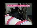 Cute Black Cat Video! *Super cute*