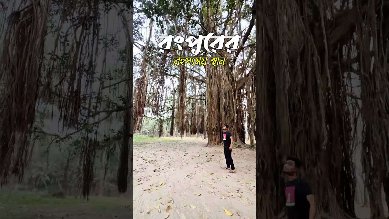 রংপুর কারমাইকেল কলেজের রহস্যময় জায়গা 😱 | Rangpur Carmichael College Mystery #shorts