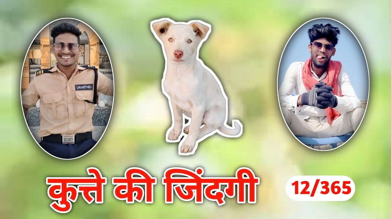 Kutte Ki Jindagi 🤣 12/365 Day's Vlogs Challenge ( New Hindi Vlogs) Prem Kumar Benia Vlog