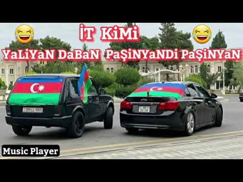 İt kimi yalıyan daban Daşınması Paşinyan😂😂😂Paşikk.Nolduuu Paşinyan😂🤣