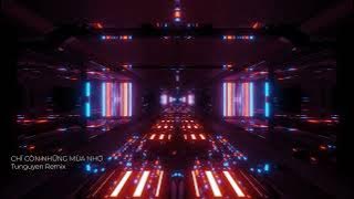 CHỈ CÒN NHỮNG MÙA NHỚ REMIX  -  Tunguyen TikTok