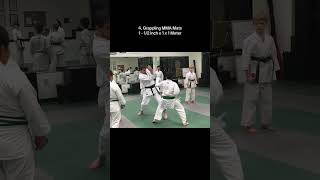 Top 5 Martial Arts Puzzle Mats!