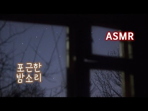 ASMR 마음이 편안해 지는 포근한 밤소리●풀벌레 소리, 기차 소리, 밤의 백색소음 | Night Ambience Nature Crickets & Train