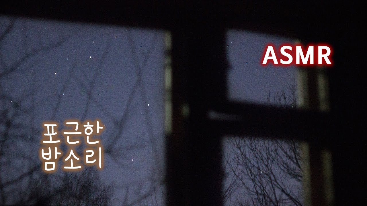 ASMR 마음이 편안해 지는 포근한 밤소리●풀벌레 소리, 기차 소리, 밤의 백색소음 | Night Ambience Nature Crickets & Train