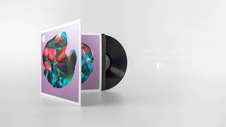 robert lippok // psychic waveforms