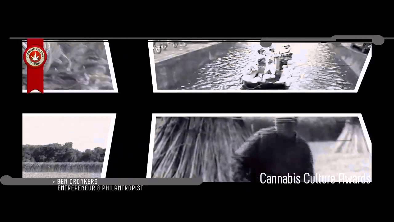Cannabis Culture Awards | Ben Dronkers