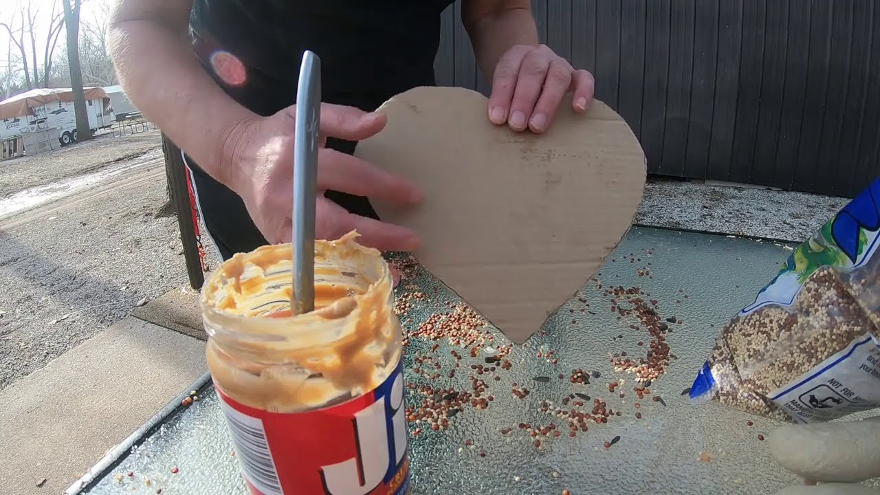 DIY Heart Shaped Peanut Butter Bird Feeders - YouTube