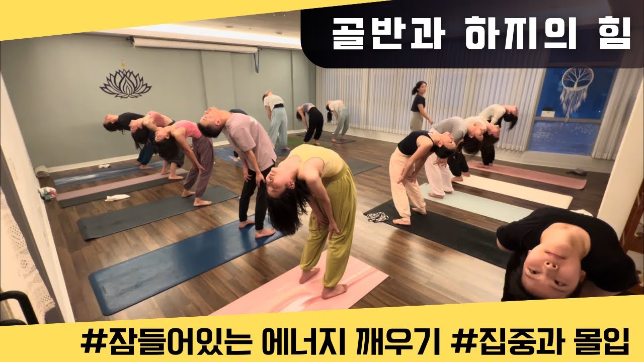[엔젤요가] 골반과 하지의 힘 | 중력선에서 뒤로 끌어내리는 힘과 앞라인을 길게 펼쳐들기 