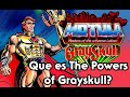 Que es the powers of grayskull