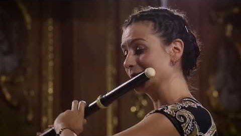 Telemann | Flute concerto in D major TWV 51:D2 | Largo | Anna Besson Kore Orchestra