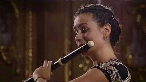 Telemann | Flute concerto in D major TWV 51:D2 | L...