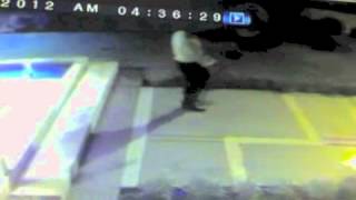 Laptop Thief
