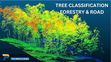 Tree Classification, Forest and Road Tree LiDAR Classification from ALS, ULS, MLS Point Clouds