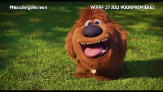 Huisdiergeheimen Vanaf 27 Juli In De Bioscoop