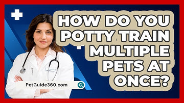 How Do You Potty Train Multiple Pets At Once? - PetGuide360.com