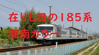 伊豆箱根鉄道駿豆線を走る185系「踊り子」の新旧パターン！！