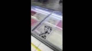 IMG 5492 1