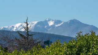 955 & 965 N 5th Ave, Sequim, WA $375,000