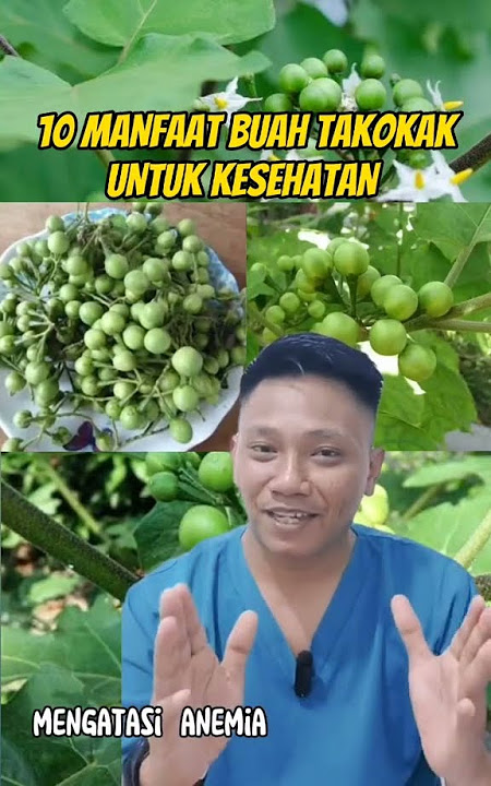 10 MANFAAT BUAH TAKOKAK UNTUK KESEHATAN #tipsbuatkamu #tiktokhealth #hidupsehat #hidupsehat #fy